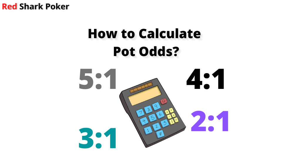 How to Calculate Pot Odds | A Beginner’s Guide